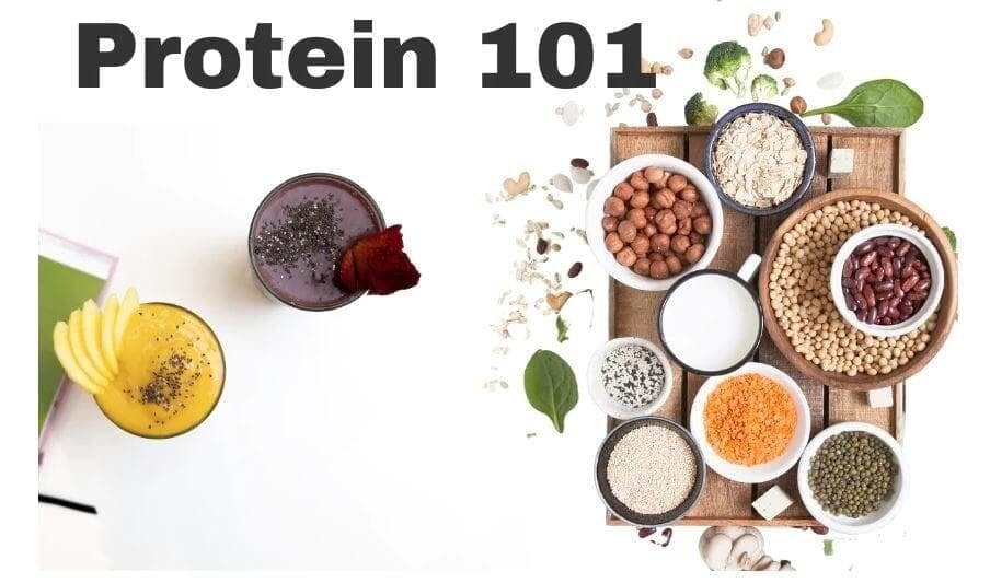 Proteins 101